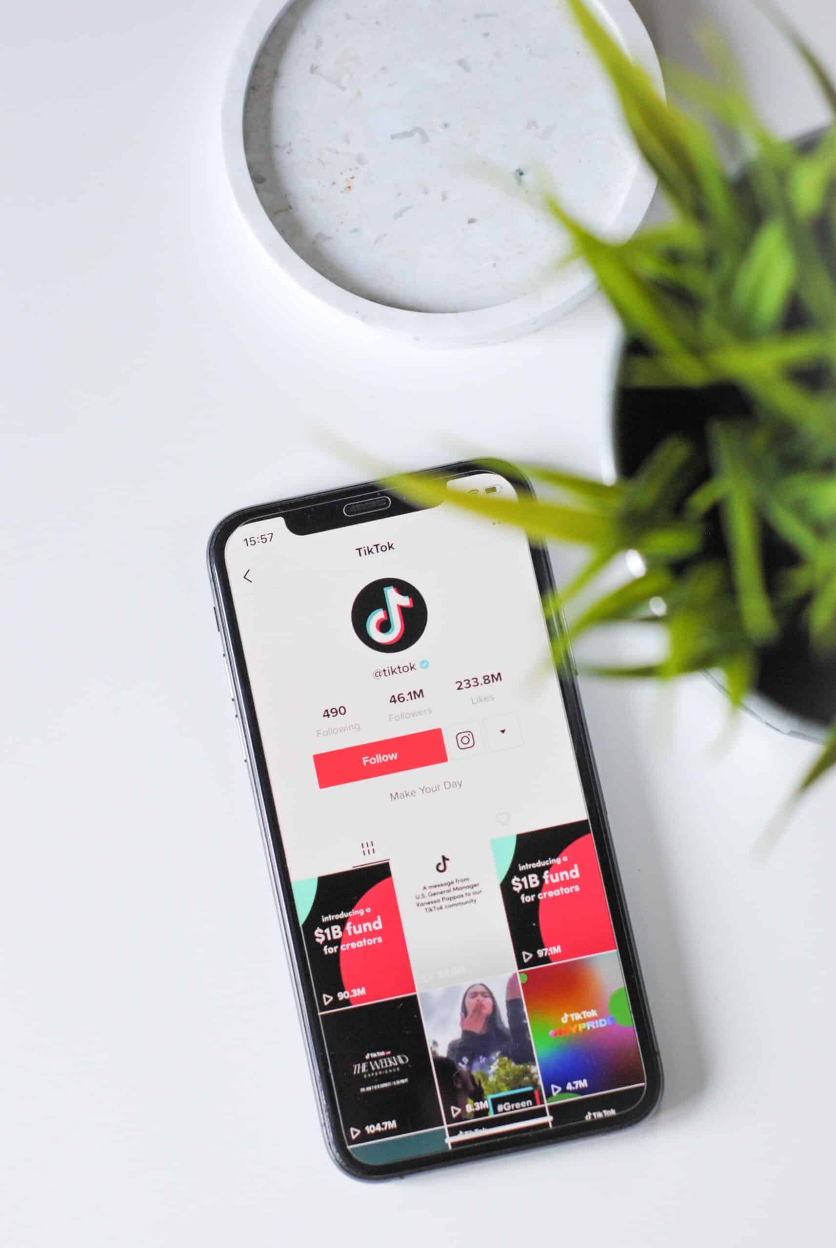 TikTok Creator Next