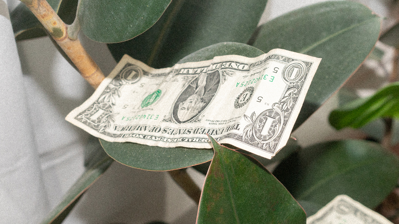 Money Bill Paper Dollar Income Revenue Content Creator