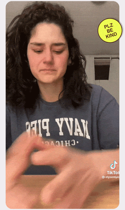 Elyse Myers content creator tiktok