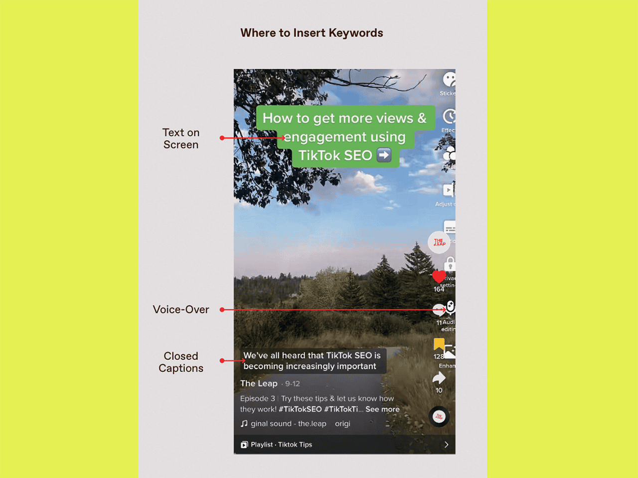 tiktok seo cheat sheet guide