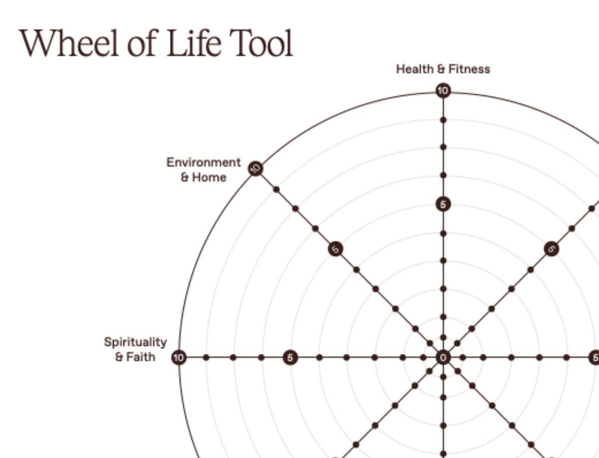 wheel of life coaching template