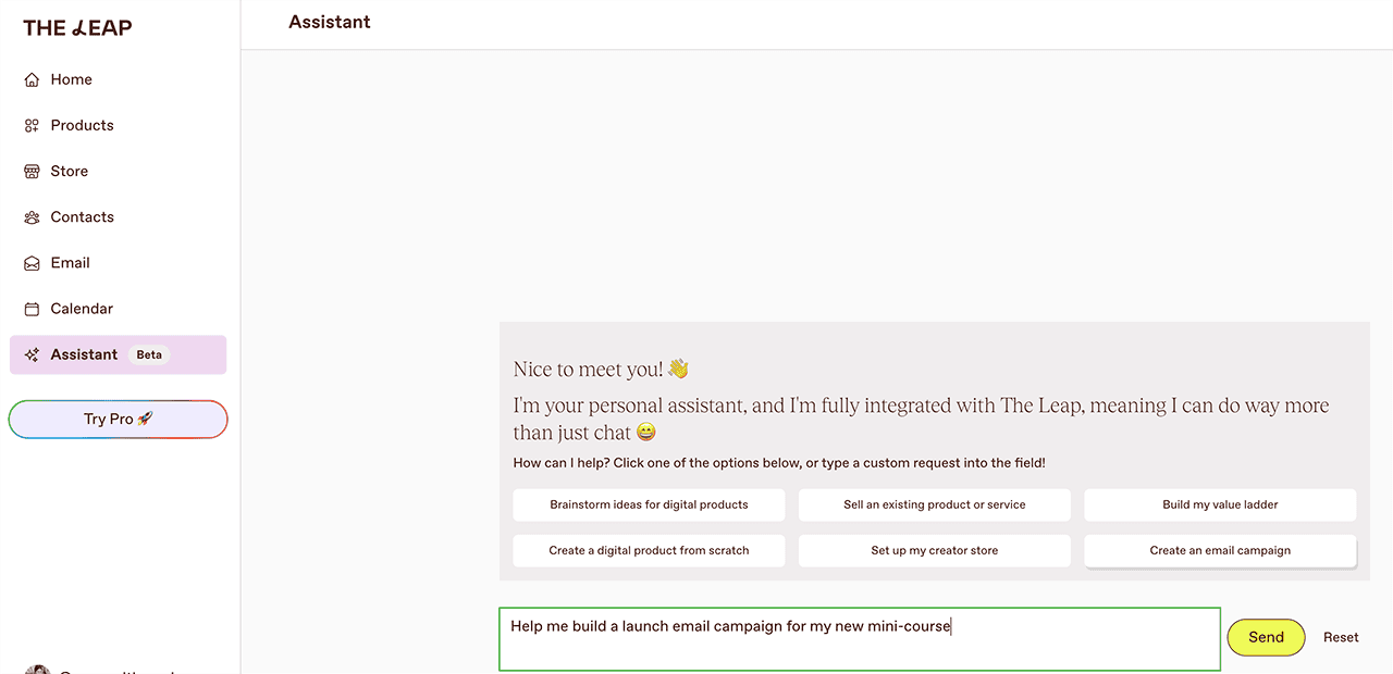 the leap ai assistant